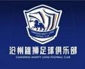 沧州球员王鹏发文：已收到补发工资并且跟俱乐部已达成解决协议